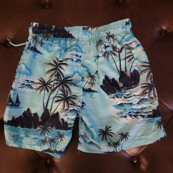 Mens Swim Trunks from Jake Austin
Cool Design: mul - Picture 2 of 4